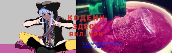мяу мяу мука Арсеньев
