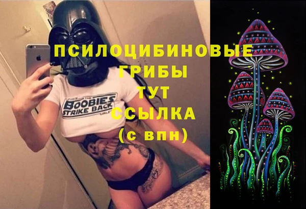 мяу мяу мука Арсеньев