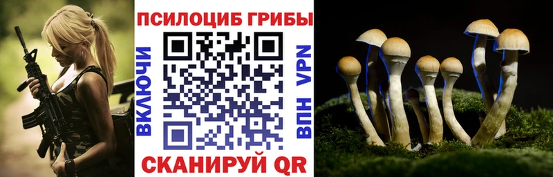 Галлюциногенные грибы Psilocybe  Краснотурьинск 